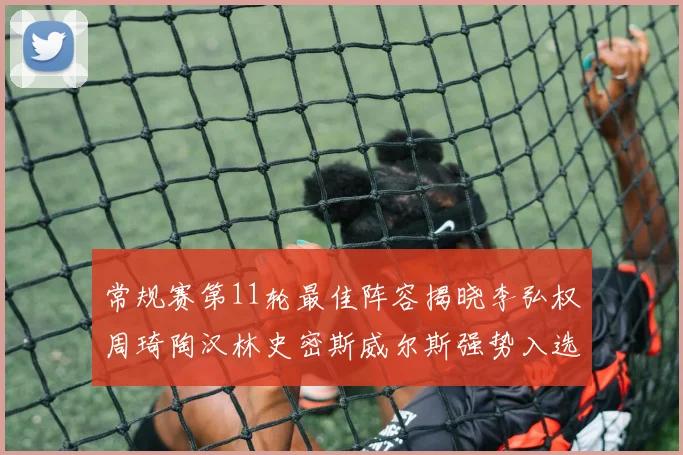 常规赛第11轮最佳阵容揭晓李弘权周琦陶汉林史密斯威尔斯强势入选