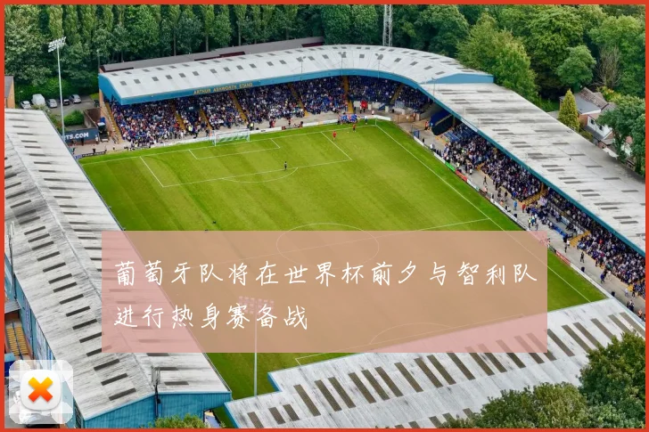 葡萄牙队将在世界杯前夕与智利队进行热身赛备战