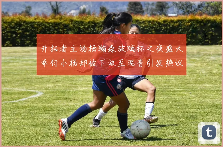 开拓者主场杨瀚森玻璃杯之夜盛大举行小杨却被下放至混音引发热议