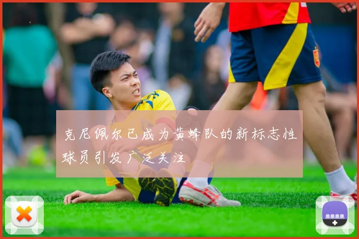 克尼佩尔已成为黄蜂队的新标志性球员引发广泛关注