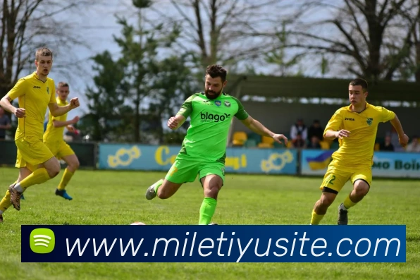 米乐体育平台生态图